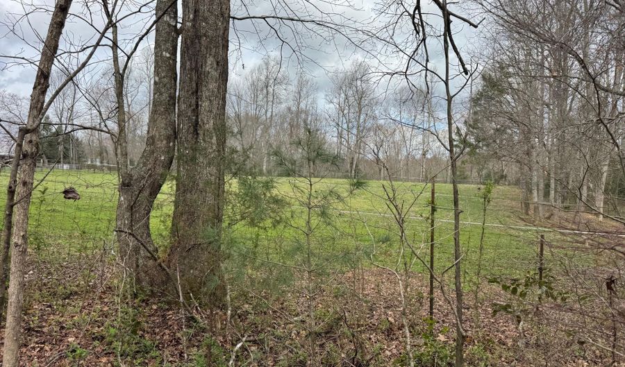 Honey Creek Loop Rd, Allardt, TN 38504 - 0 Beds, 0 Bath