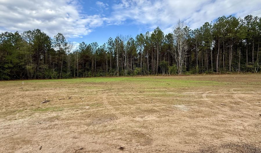 2033 Ceasar Trl, Bogue Chitto, MS 39629 - 4 Beds, 2 Bath