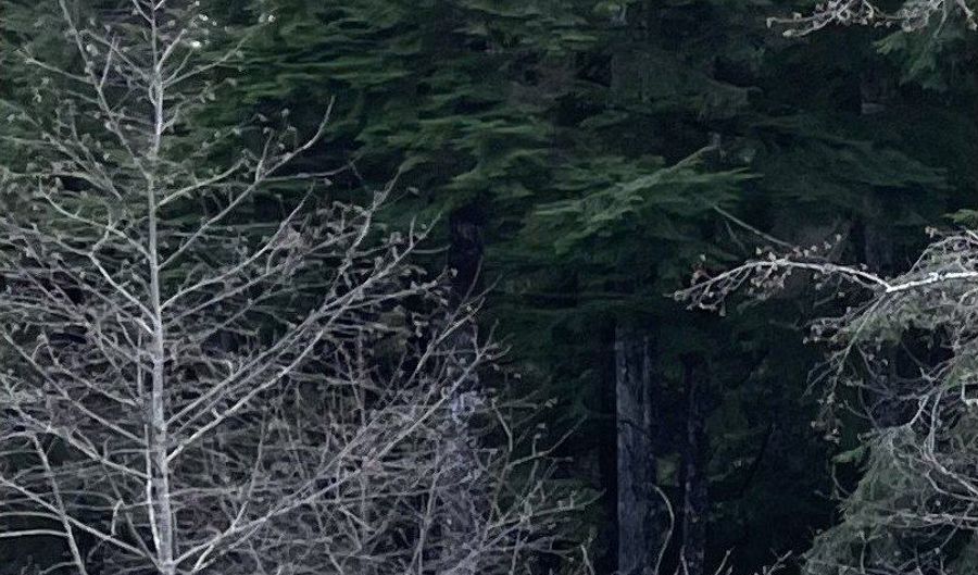 Groveland Ave unit 1-4 1-4, Aberdeen, WA 98520 - 0 Beds, 0 Bath