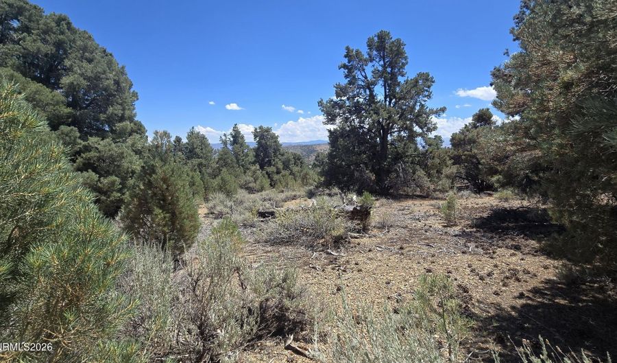 1548 Moss Cir, Gardnerville, NV 89410 - 0 Beds, 0 Bath