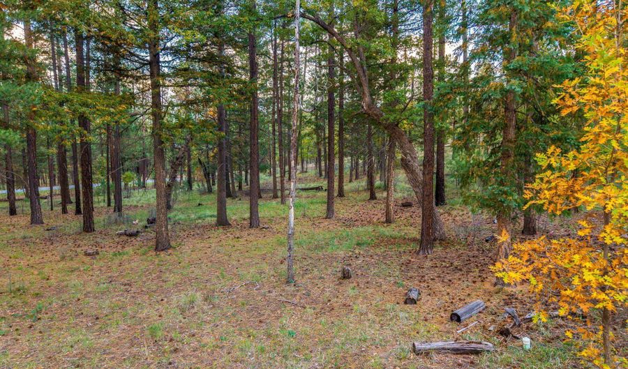 COUNTY ROAD 2196, Alpine, AZ 85920 - 0 Beds, 0 Bath