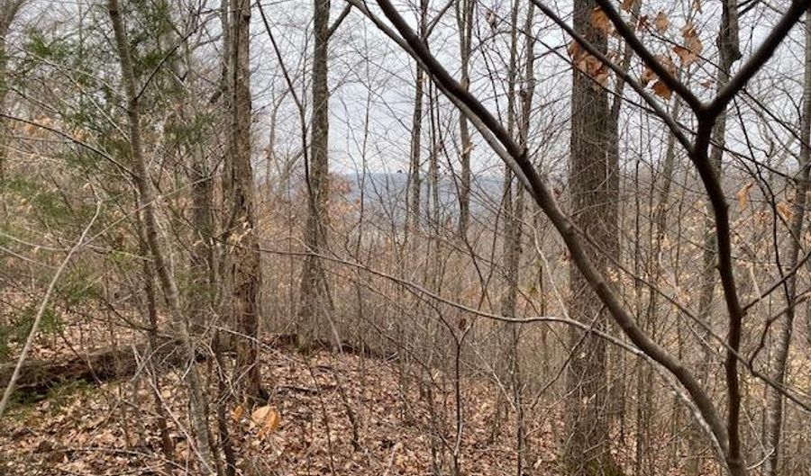 Lot 50 Griffin Trail, Albany, KY 42602 - 0 Beds, 0 Bath