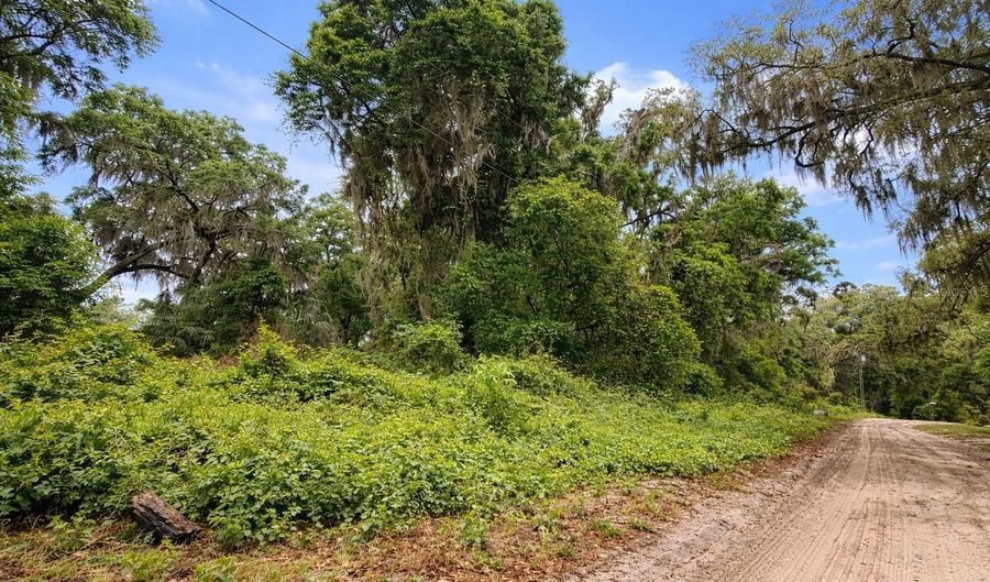 Tbd NE 52ND COURT, Anthony, FL 32617 - 0 Beds, 0 Bath