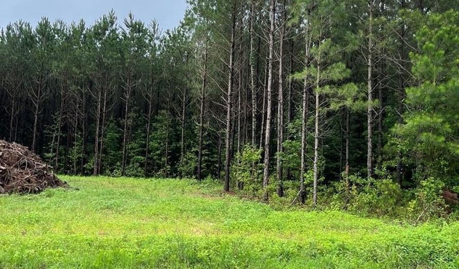 parcel 1 county road 6629, Banks, AL 36005 - 0 Beds, 0 Bath