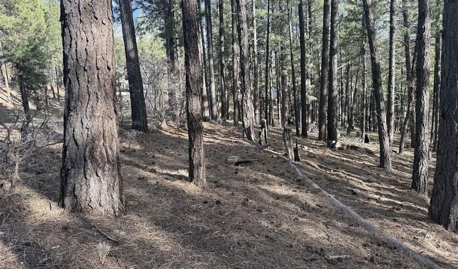 217 Pine Top Dr, Bayfield, CO 81137 - 0 Beds, 0 Bath