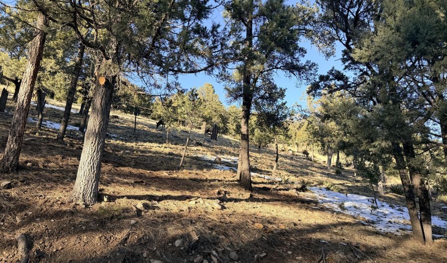Bobcat Trail lot T43c, Alto, NM 88312 - 0 Beds, 0 Bath