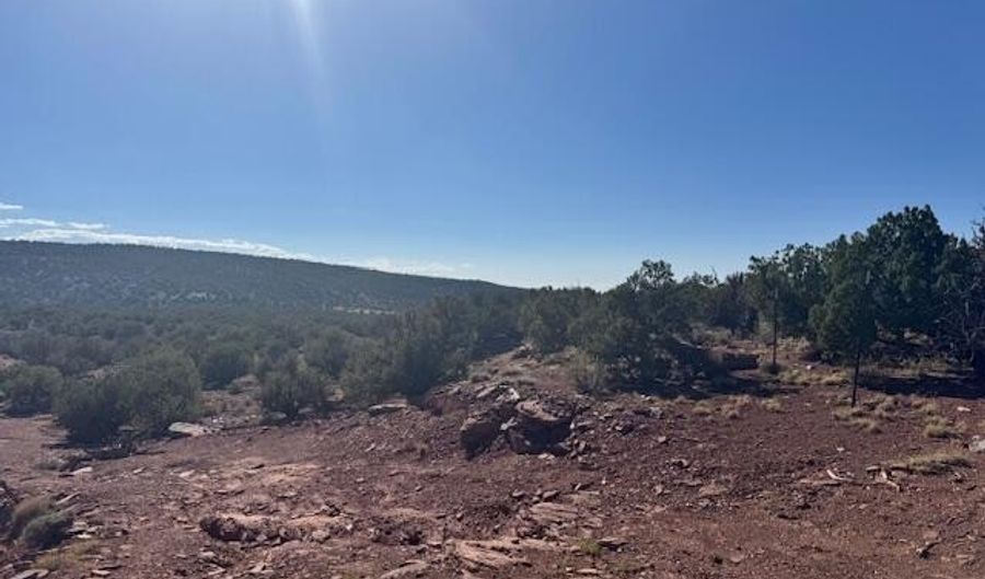 36 County Road N8487, Concho, AZ 85924 - 0 Beds, 0 Bath