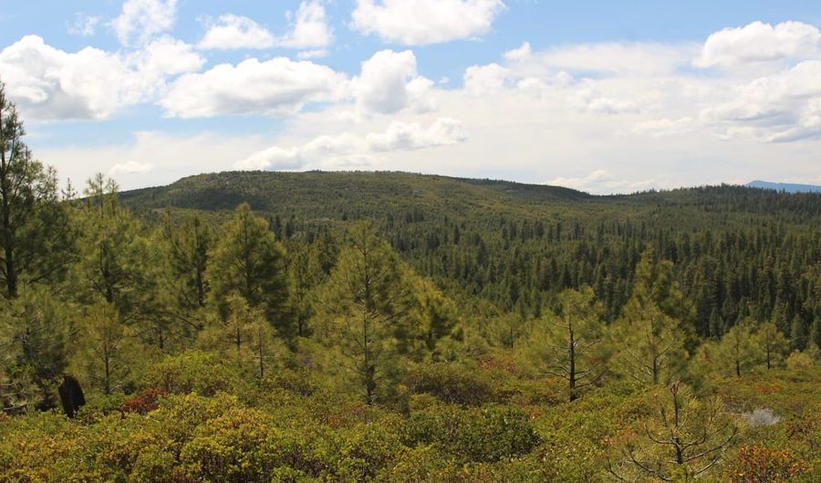 Tower Springs, Bly, OR 97622 - 0 Beds, 0 Bath