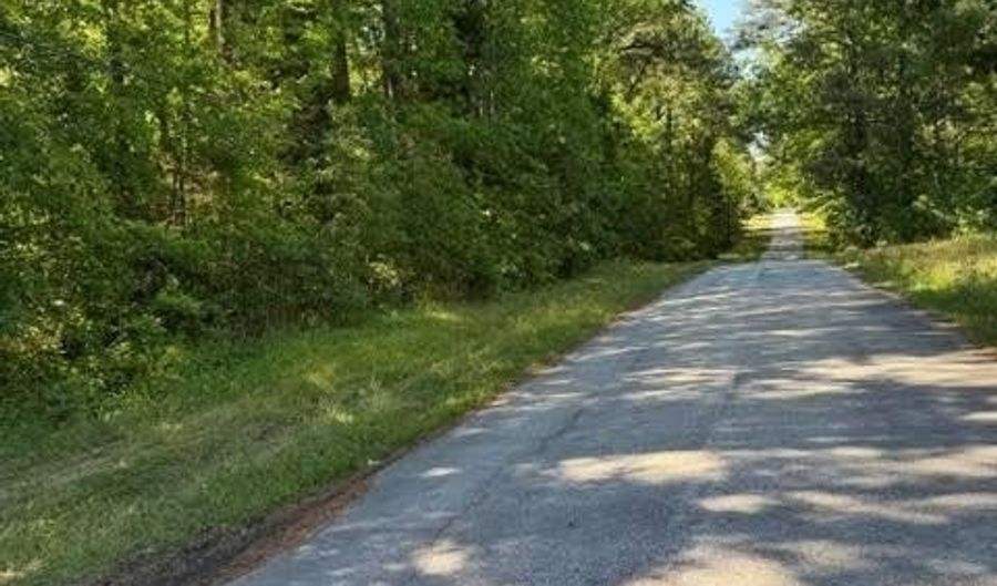 Main St and Hwy 1, Alberta, VA 23821 - 0 Beds, 0 Bath