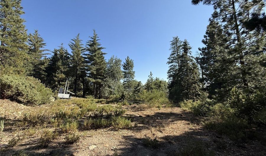 0 Ca-38, Angelus Oaks, CA 92305 - 0 Beds, 0 Bath
