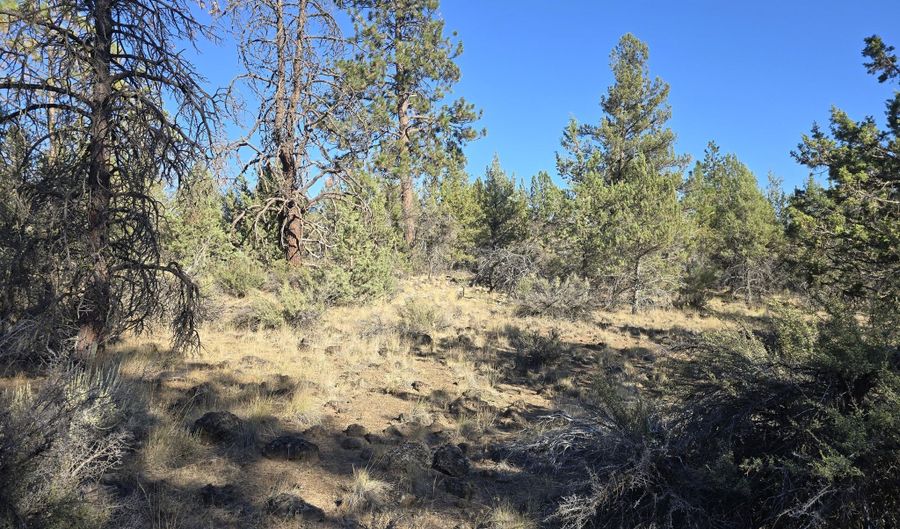 Blue Heron Drive, Bonanza, OR 97623 - 0 Beds, 0 Bath