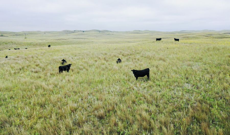 755 90 +/- Acres, Arnold, NE 69120 - 0 Beds, 0 Bath