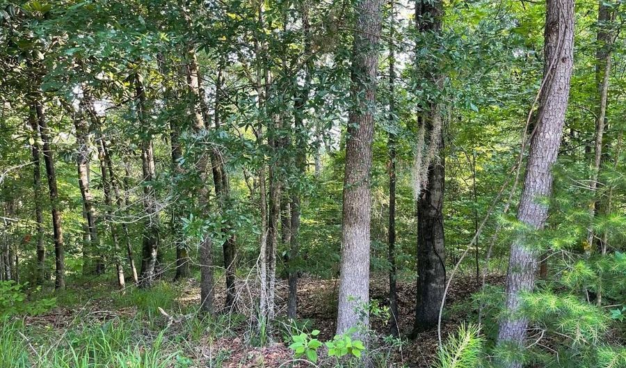 106 B Calico Ct, Alberta, AL 36720 - 0 Beds, 0 Bath