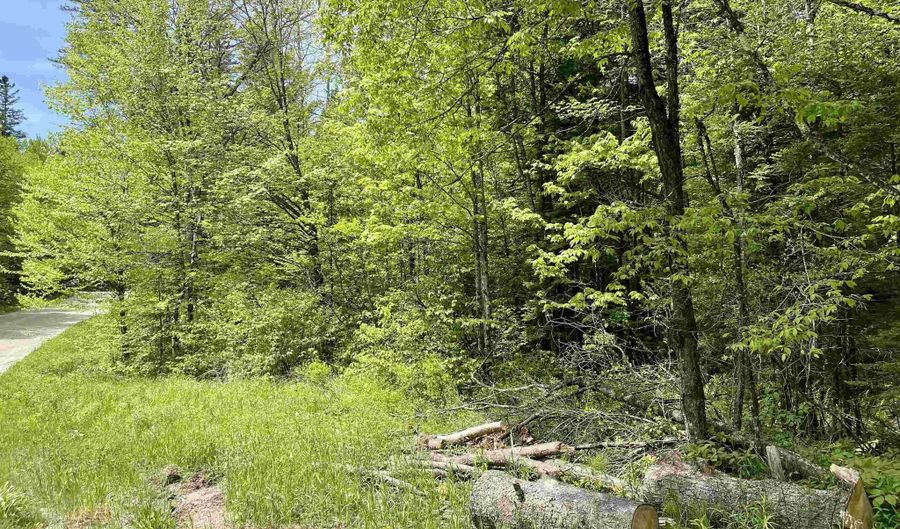 Marshall Newland Road, Burke, VT 05832 - 0 Beds, 0 Bath