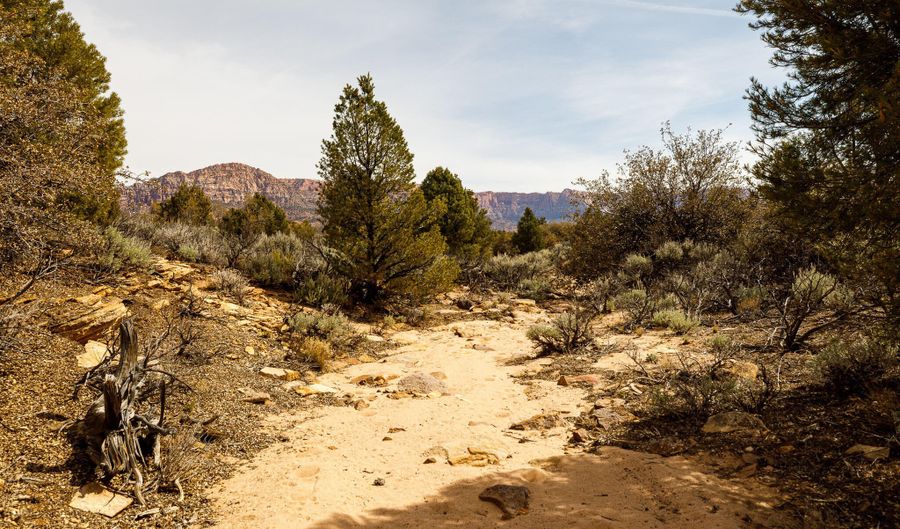 1371 1600, Apple Valley, UT 84737 - 0 Beds, 0 Bath