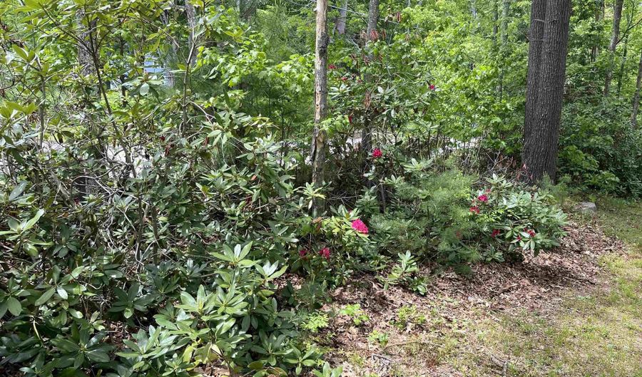 209 Mallego Rd, Barrington, NH 03825 - 4 Beds, 2 Bath