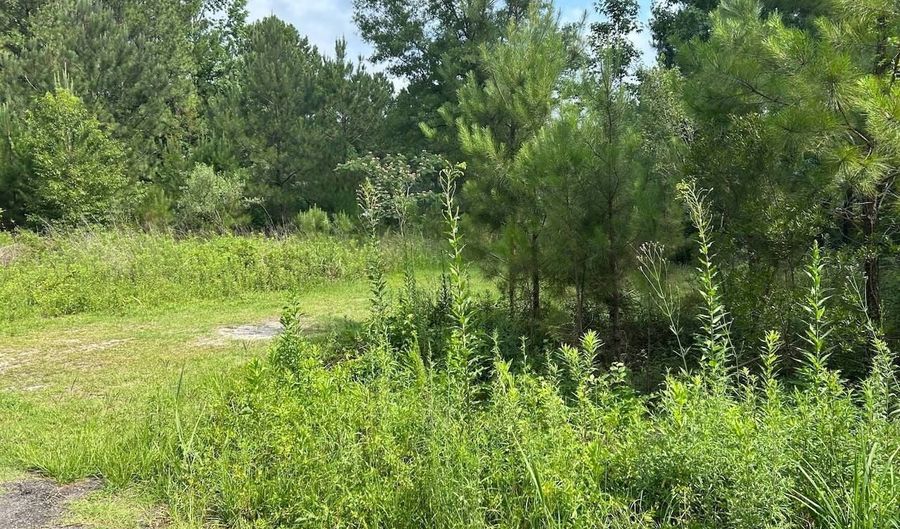 Orange Blossom St lot On, Andrews, SC 29510 - 0 Beds, 0 Bath