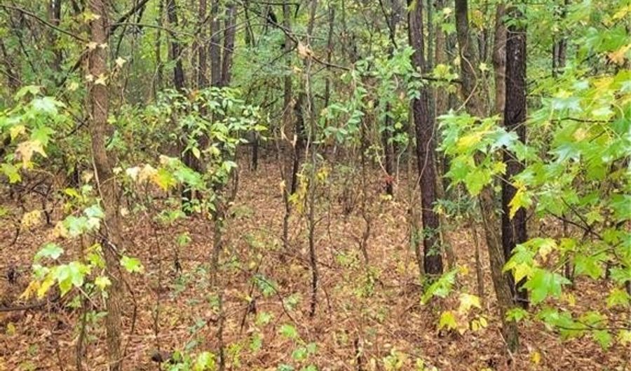 5194 Joe Frank Harris Pkwy NW, Adairsville, GA 30103 - 0 Beds, 0 Bath