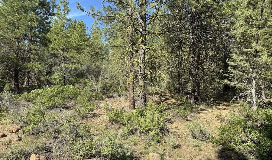 Thunderbear Road 46, Bonanza, OR 97623 - 0 Beds, 0 Bath