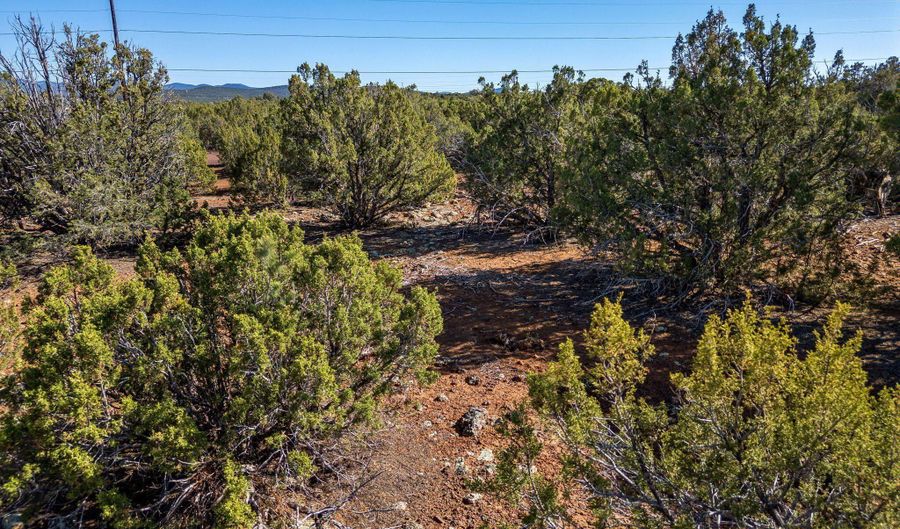 233 Co, Concho, AZ 85924 - 0 Beds, 0 Bath