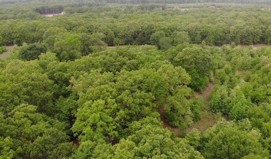 Lot 25 Rains County Road 2610, Alba, TX 75410 - 0 Beds, 0 Bath