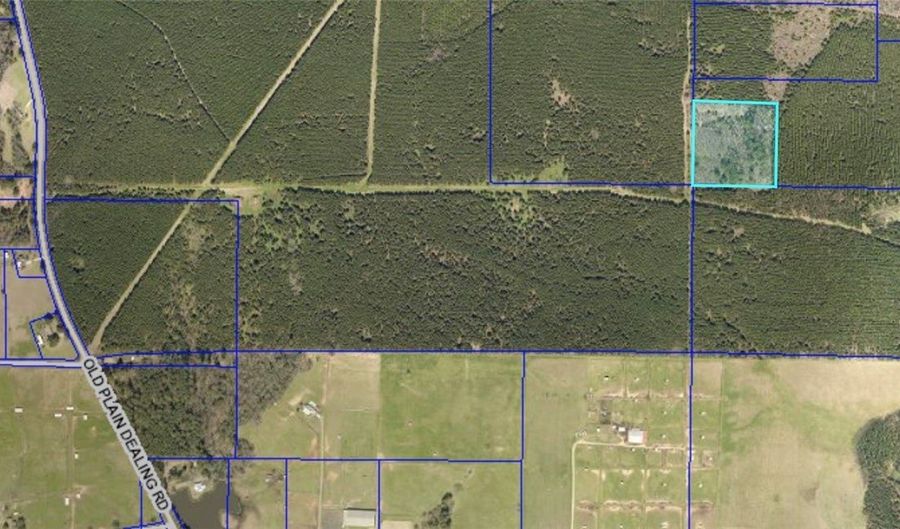 Old Plain Dealing Hwy, Benton, LA 71006 - 0 Beds, 0 Bath