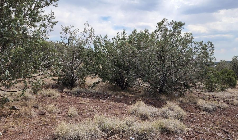 2544 N Double A Rnch Rd, Ash Fork, AZ 86320 - 0 Beds, 0 Bath