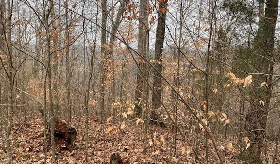 Lot 51 Griffin Trail, Albany, KY 42602 - 0 Beds, 0 Bath