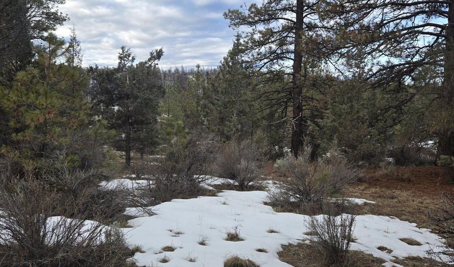 Jaguar Lane Lot 7 & 8, Bonanza, OR 97623 - 0 Beds, 0 Bath