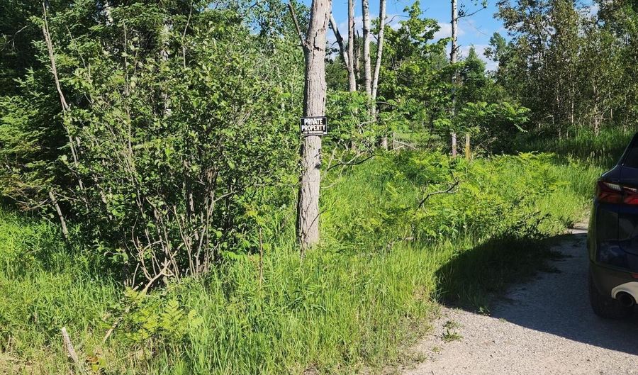 281 Geronimo Rd, Alpena, MI 49707 - 0 Beds, 0 Bath