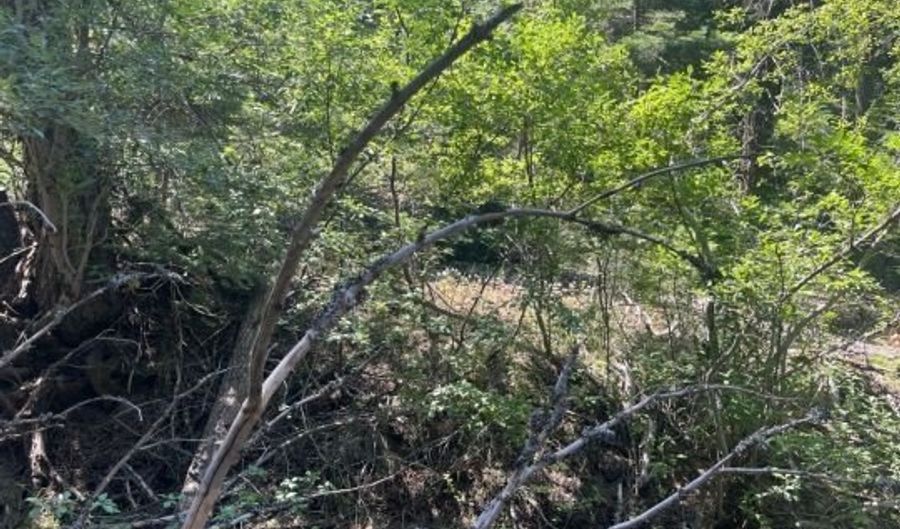 00 Ranch Rd. Rd, Alturas, CA 96101 - 0 Beds, 0 Bath