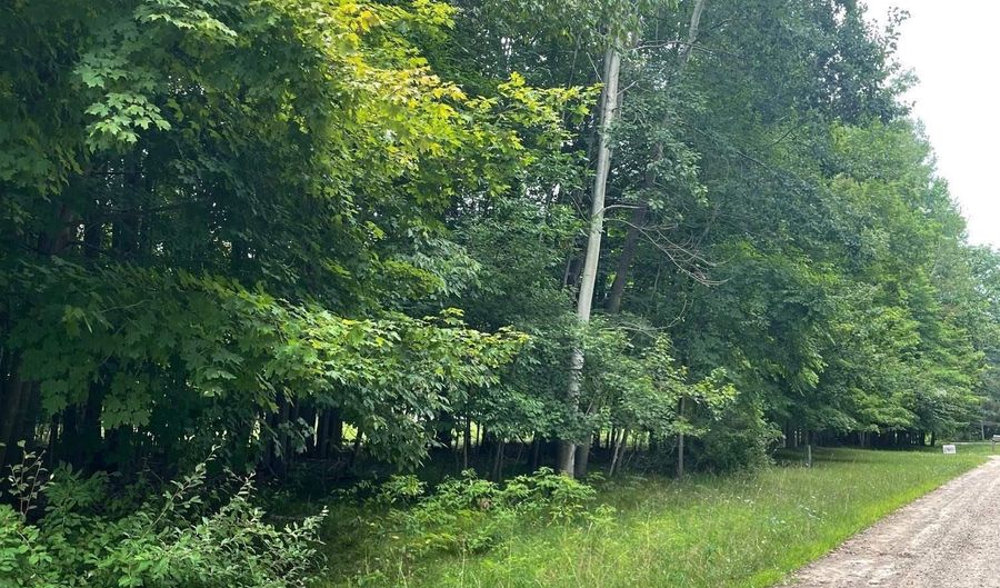 Beech Forest Ct, Addison Twp., MI 48367 - 0 Beds, 0 Bath