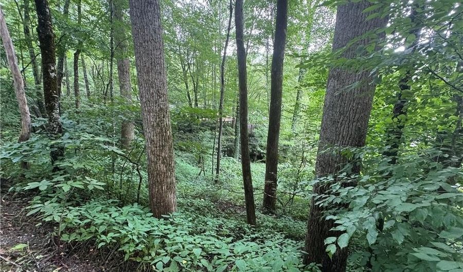 Tbd Clubhouse Drive, Banner Elk, NC 28604 - 0 Beds, 0 Bath