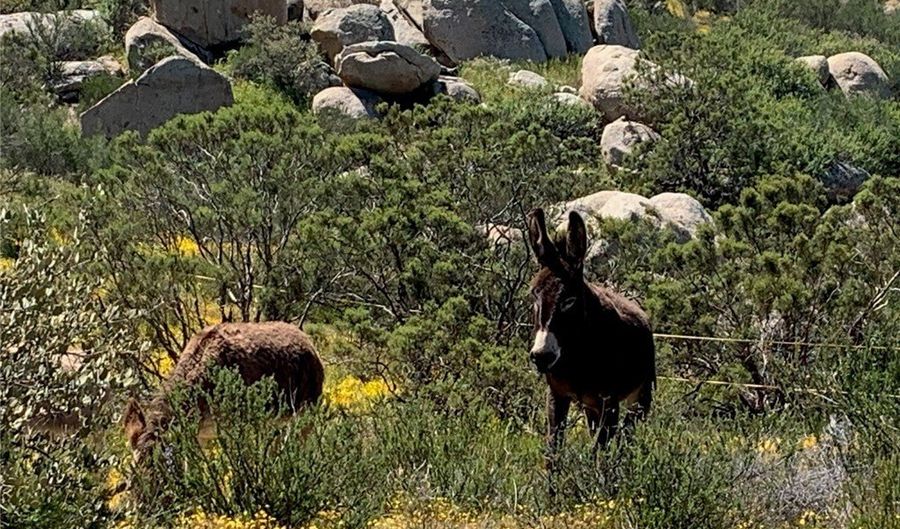 0 Fresz, Aguanga, CA 92536 - 0 Beds, 0 Bath