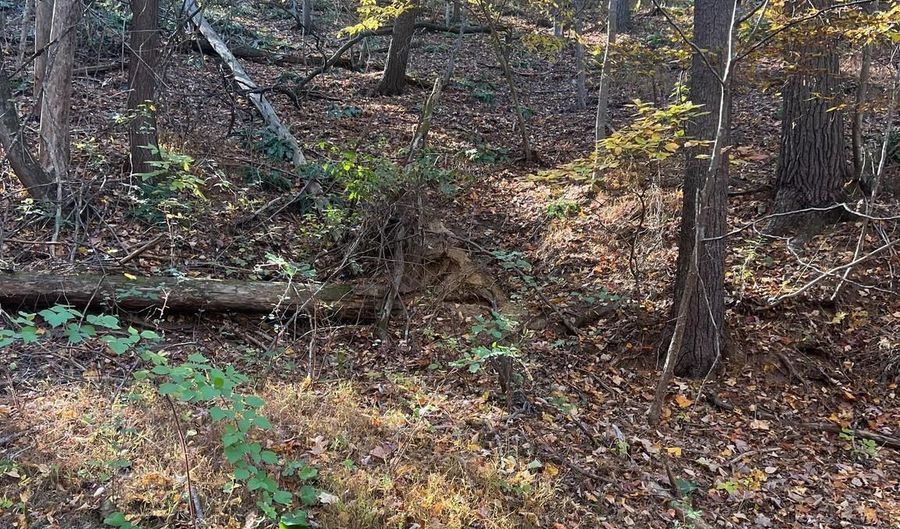 PIN OAK Street, Basye, VA 22810 - 0 Beds, 0 Bath