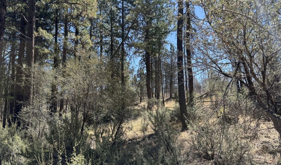 0 Jaguar Ln Lot 3, Bonanza, OR 97623 - 0 Beds, 0 Bath