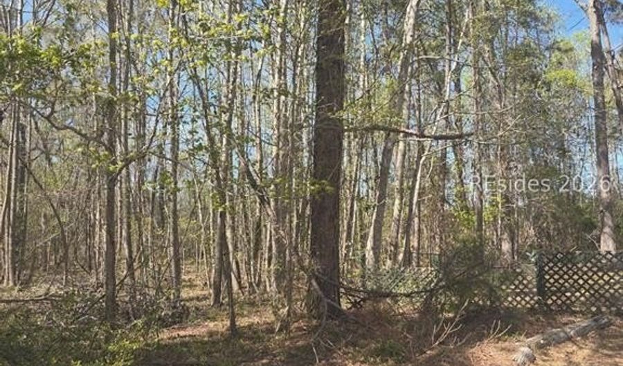 Freeman Street lot 5, Brunson, SC 29911 - 0 Beds, 0 Bath