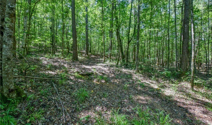 3741 County Rd 67, Bankston, AL 35542 - 2 Beds, 2 Bath