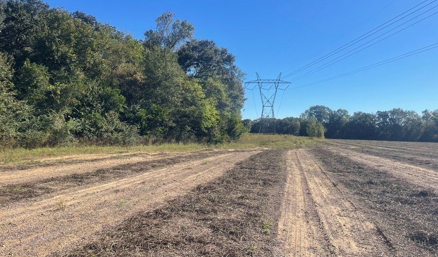 7 3 +- Acres Hwy 84, Ashford, AL 36312 - 0 Beds, 0 Bath