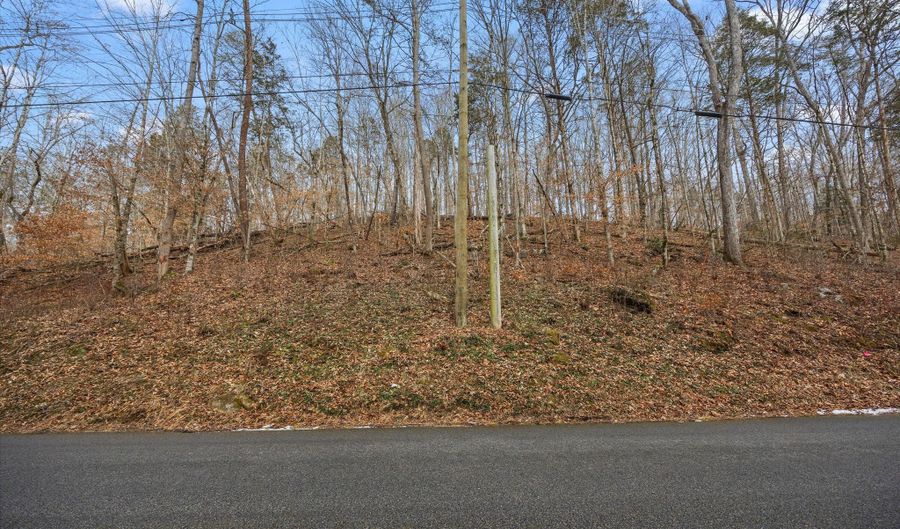 Fox Hollow Lane, Andersonville, TN 37705 - 0 Beds, 0 Bath