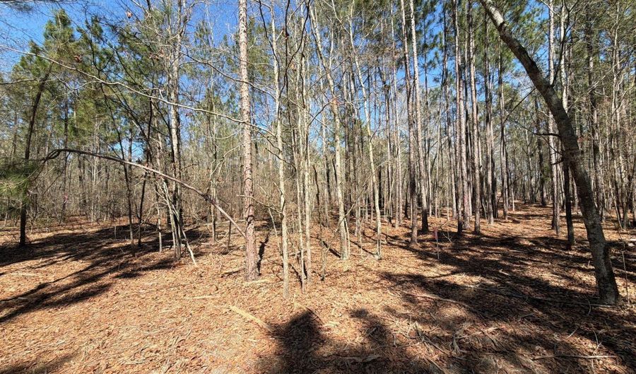 Bhl 13 Boise Cascade Bhl 13, Bethune, SC 29009 - 0 Beds, 0 Bath