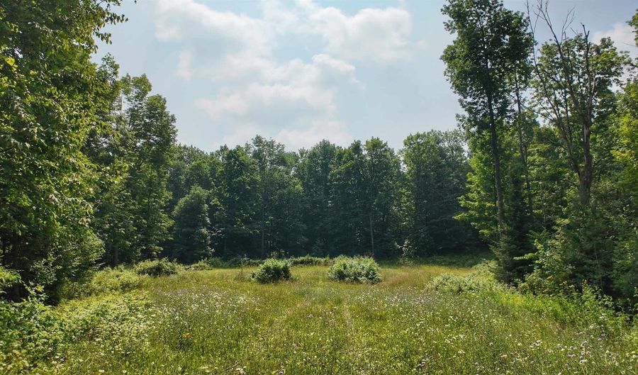 3 38 Acres County F Rd, Antigo, WI 54409 - 0 Beds, 0 Bath