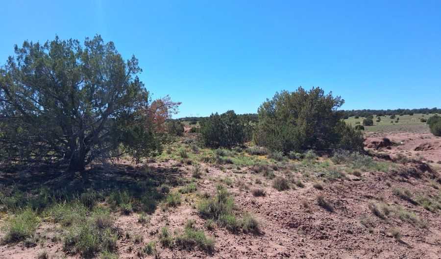 268 N 5383, Concho, AZ 85924 - 0 Beds, 0 Bath