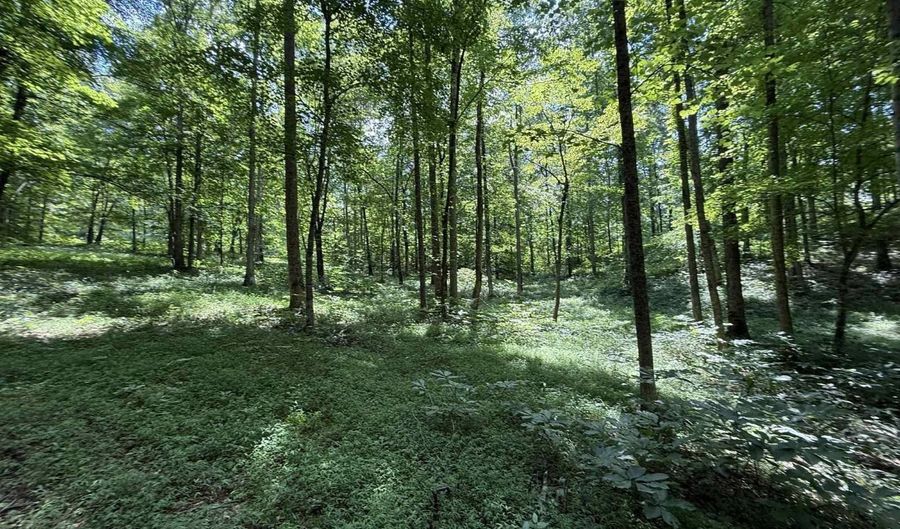 Lot 20 Newpointe Subdivision, Albany, KY 42602 - 0 Beds, 0 Bath
