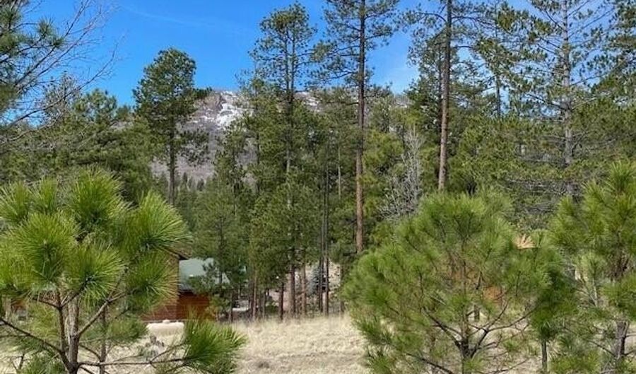 000 COUNTY ROAD 2193, Alpine, AZ 85920 - 0 Beds, 0 Bath