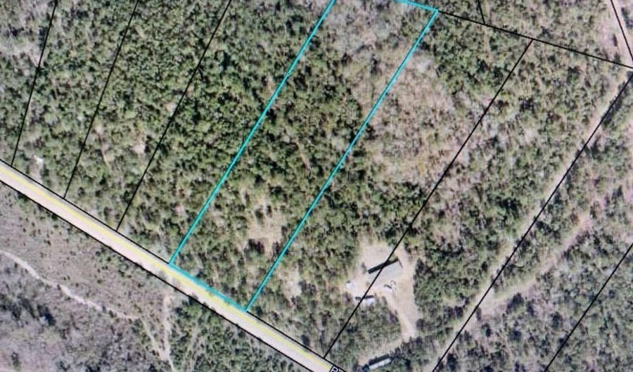 Pollett Road lot 29, Bartow, GA 30413 - 0 Beds, 0 Bath