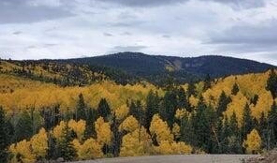 Lot # 46 West Village Subdivision, Beaver, UT 84713 - 0 Beds, 0 Bath