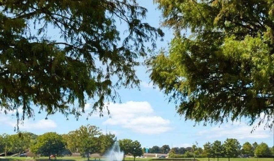 1608 Helmoken Falls Dr, Anna, TX 75409 - 4 Beds, 2 Bath