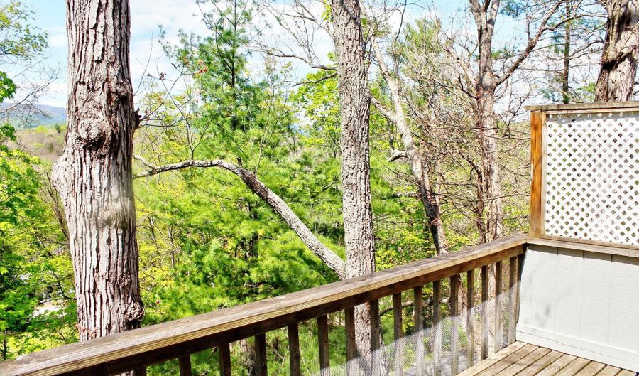 361 THE Hl M-4, Basye, VA 22810 - 1 Beds, 1 Bath