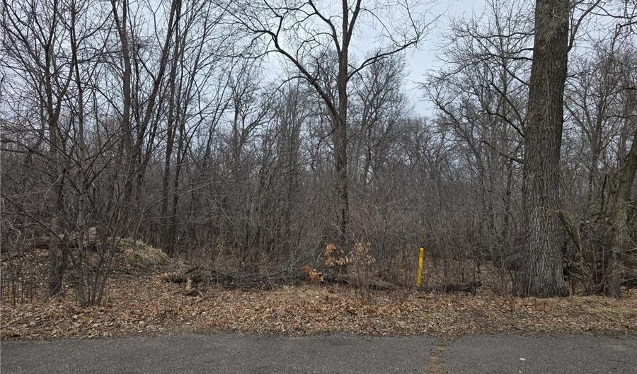 L2 B2 288th Avenue NW, Baldwin Twp., MN 55398 - 0 Beds, 0 Bath